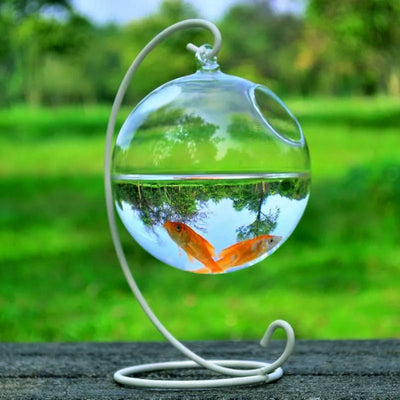 Florero Colgante de Cristal con Acuario