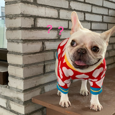 Suéter Tejido para Perros y Gatos - Diseño Rojo Otoño Invierno - Image 6