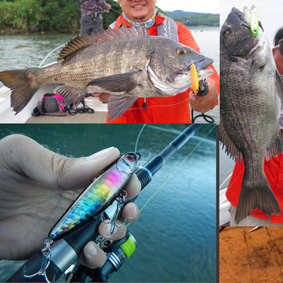 Señuelo Luya 60mm 6g - Cucharilla Artificial para Pesca de Bagre y Trucha