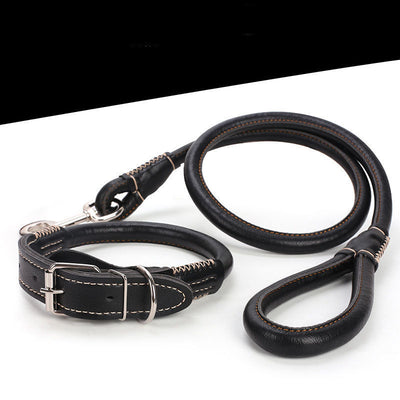 Collar de Cuero Premium con Cuerda para Perros Golden Retriever y Husky Tamaño Mediano-Grande - Image 4