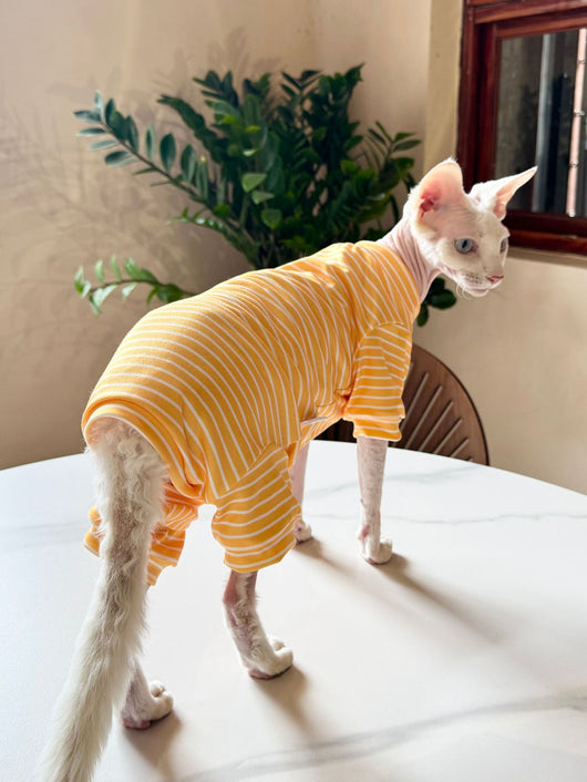 Ropa Transpirable para Gatos - Diseño Ligero y Fresco - Image 14