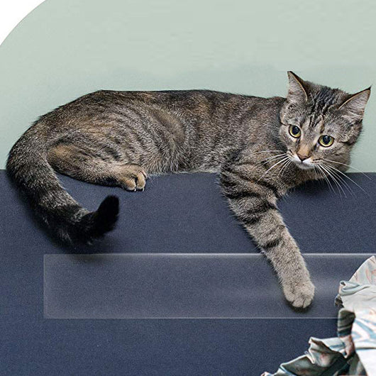 Protector Adhesivo Anti-rasguños para Sofás y Muebles - Defensa Felina - Image 4