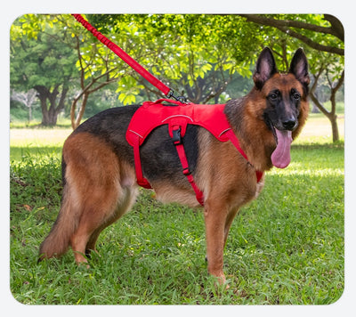 Orange dog harness with reflective trim, black buckles, and a top handle, designed for large dogs. - Image 21