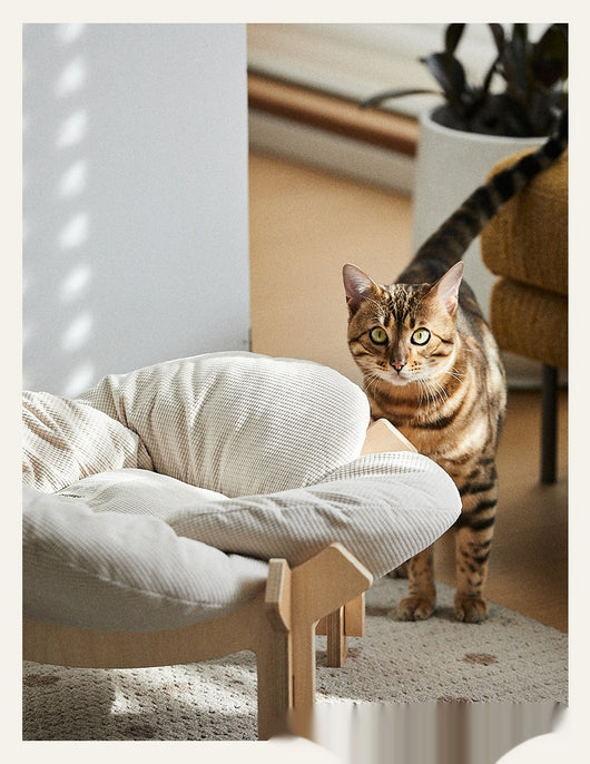 Cama Plegable para Gatos Diseño Océano - Nido Decorativo Confortable - Image 12