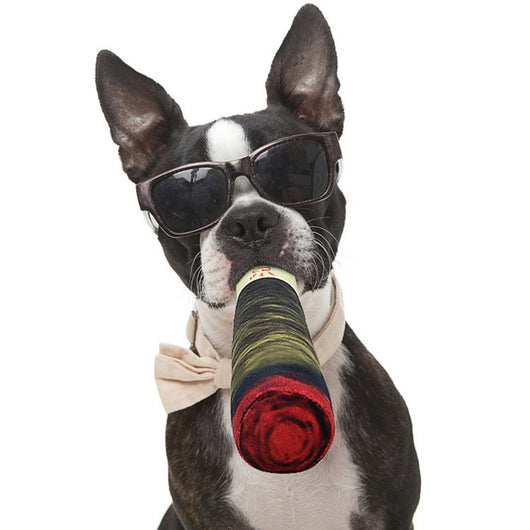 Juguetes para Perros - Bromas Divertidas con Cigarrillos Falsos - Image 12