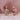 Rose Gold Micro-Set Zircon Round Earrings In Copper