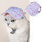 Azul Strawberry Plaid S
