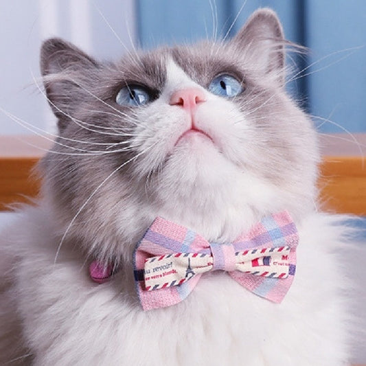 Collar Decorativo para Mascotas con Diseño Adorable