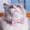 Collar Decorativo para Mascotas con Diseño Adorable