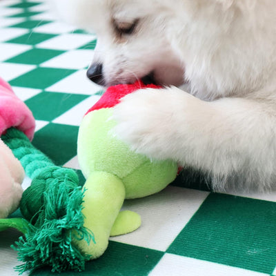 Juguete Masticable Resistente para Perros - Peluche Flor Rosa Suave - Image 9