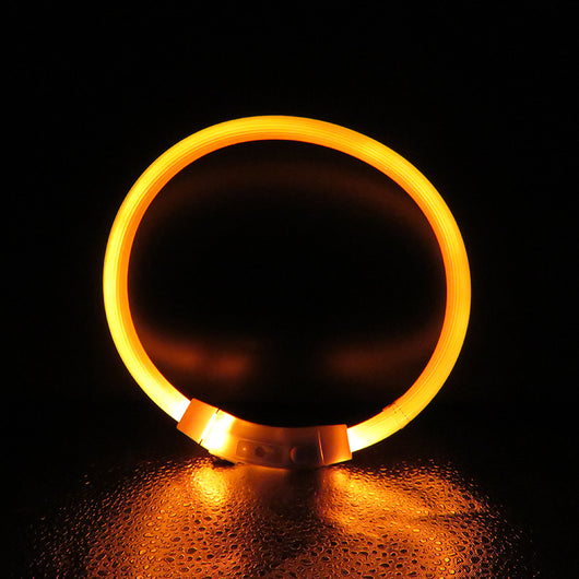 Collar Luminoso Antiextravío para Perros Grandes - Seguridad Visible - Image 18