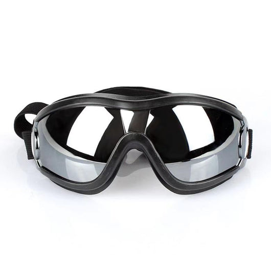 Gafas de Protección Solar UV para Mascotas - Resistentes al Agua y Viento - Image 11