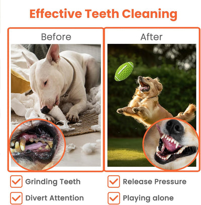 Juguete de Rugby Resistente para Perros Grandes - Diseño Duradero con Sonido Chirriante - Image 13