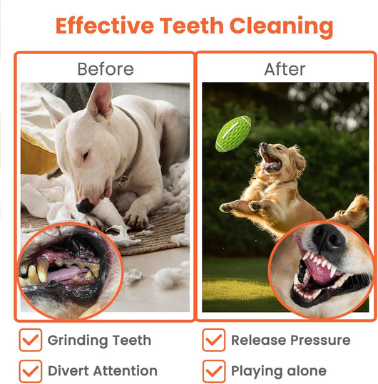 Juguete de Rugby Resistente para Perros Grandes - Diseño Duradero con Sonido Chirriante - Image 13