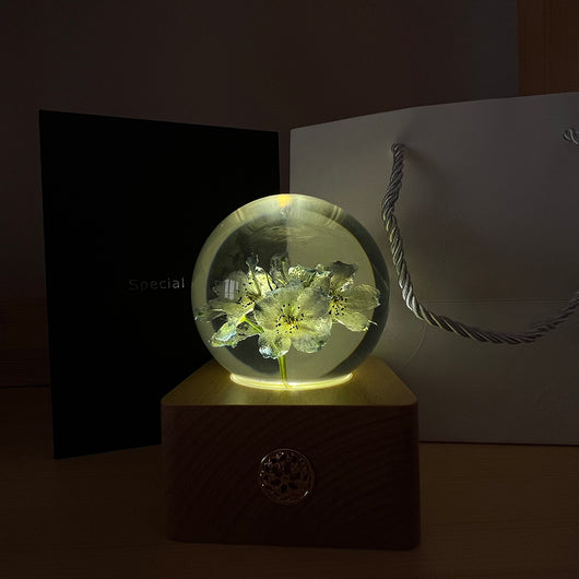 Lámpara Nocturna con Base de Madera y Flores Preservadas - Image 11