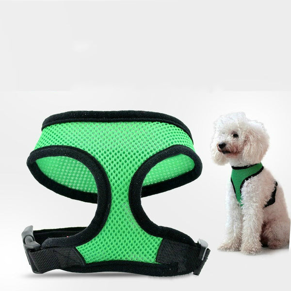 Chaleco Acolchado para Perros Pequeños y Gatos