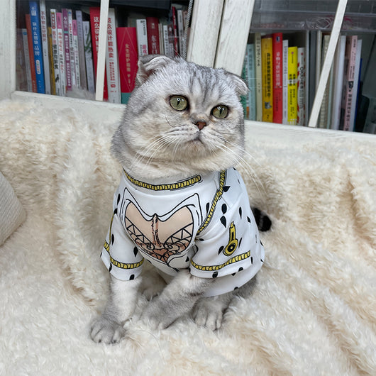Playera con Cuello de Gato - Decoración Fotográfica - Image 14