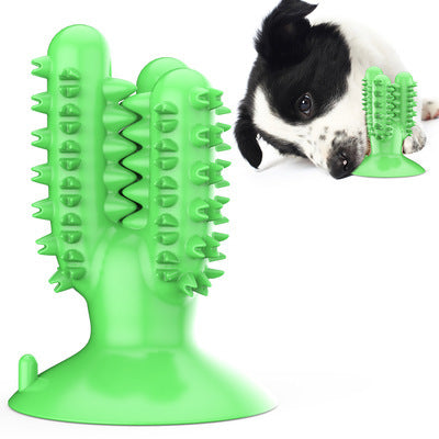 Varilla de Goma para Molares de Mascotas - Image 4