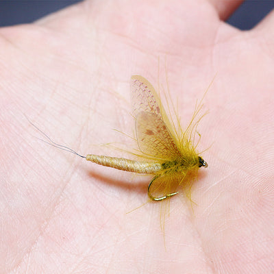 Alas Simuladas Mayfly - Image 8