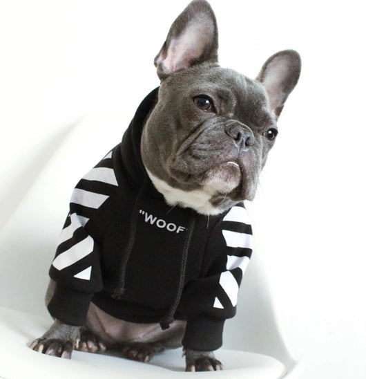Suéter Grueso de Terciopelo para Perros Pet Tide Plus - Image 5