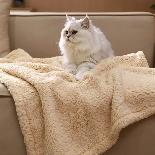 Manta de Terciopelo de Algodón para Mascotas - Calidez y Confort