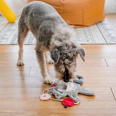 Juguete Interactivo de Peluche para Perros Pequeños con Dispensador de Alimentos - Image 4