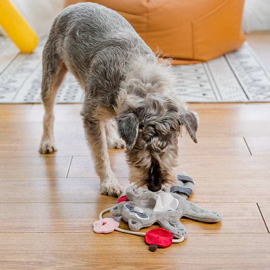 Juguete Interactivo de Peluche para Perros Pequeños con Dispensador de Alimentos - Image 4