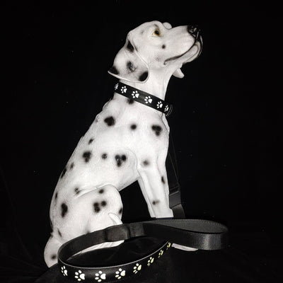 Collar LED Luminoso 7 Colores para Perros y Gatos con Carga USB - Image 11