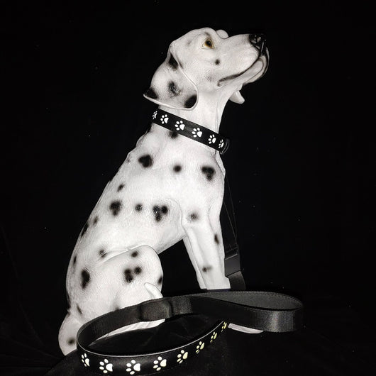 Collar LED Luminoso 7 Colores para Perros y Gatos con Carga USB - Image 11