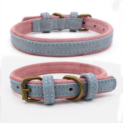 Collar para Mascota de Cuero Nobuk con Doble Contraste de Color - Image 4
