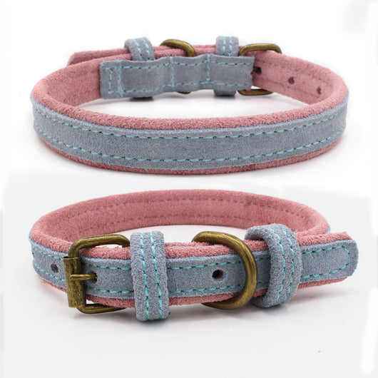 Collar para Mascota de Cuero Nobuk con Doble Contraste de Color - Image 4