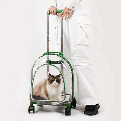 Mochila Transportadora Panorámica para Mascotas con Ventana Transparente - Image 3