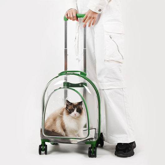 Mochila Transportadora Panorámica para Mascotas con Ventana Transparente - Image 3