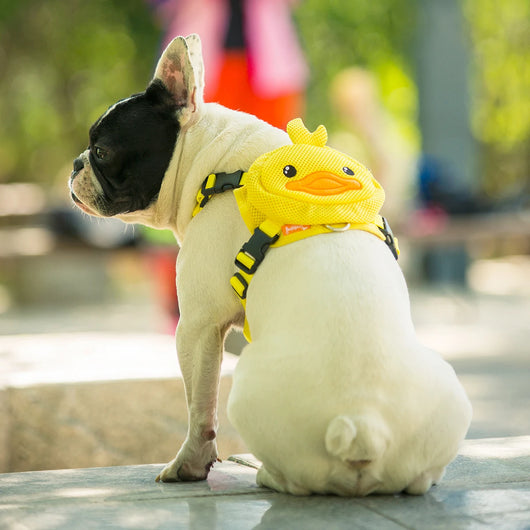Arnés de Pecho para Mascotas - Image 21