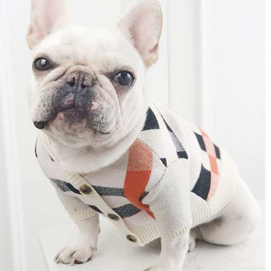 Suéter Abrigador para Perros - Ropa Cómoda y Elegante - Image 3