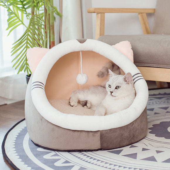 Arena para Gatos y Perros Otoño-Invierno Premium
