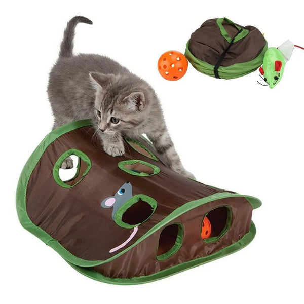 Grey tabby kitten playing with a brown and green hide-and-seek cat toy with multiple holes and a mouse graphic.