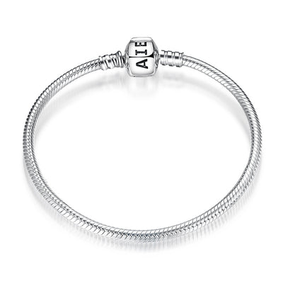 Pulsera de Plata Esterlina S925 con Cadena de Serpiente y Dijes Intercambiables - Image 6