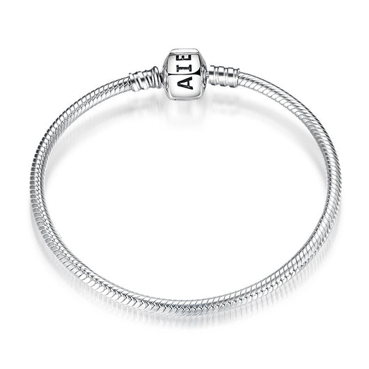 Pulsera de Plata Esterlina S925 con Cadena de Serpiente y Dijes Intercambiables - Image 6