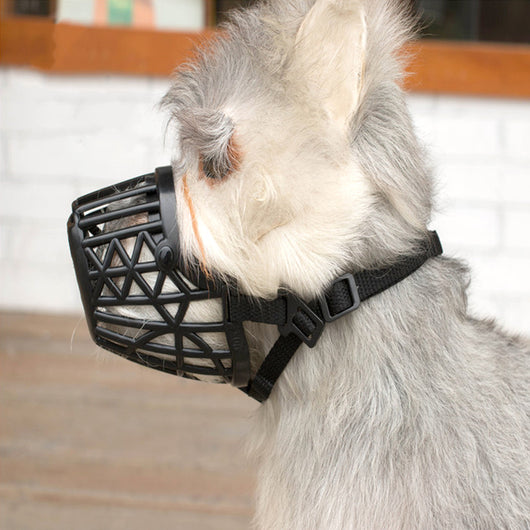 Bozal de Cesta Resistente para Perros - Image 7
