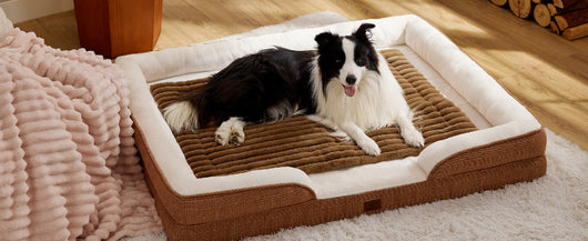 Colchoneta Térmica Autocalentable para Gatos y Perros Pequeños - Image 10