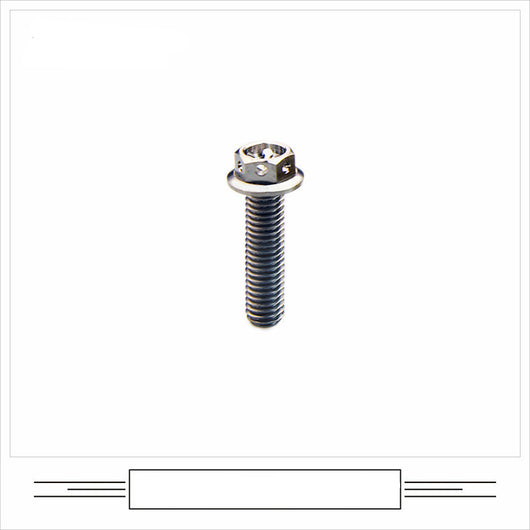 Tornillo de Cabeza Brida Titanio Aleación para Motos Modificadas - Image 11