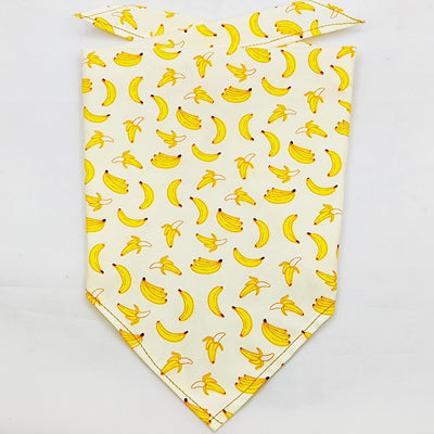 Pañuelo Bandana Absorbente para Mascotas con Diseño Frutal - Image 15
