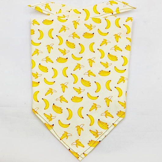 Pañuelo Bandana Absorbente para Mascotas con Diseño Frutal - Image 15