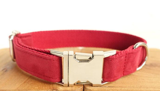 Collar de Tracción para Perro con Control Ergonómico