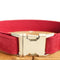 Collar de Tracción para Perro con Control Ergonómico