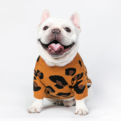 Ropa Protectora para Perros y Gatos - Método Fighting Bichon - Image 9