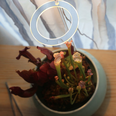 Lámpara LED de Espectro Completo para Plantas de Interior con USB - Image 6