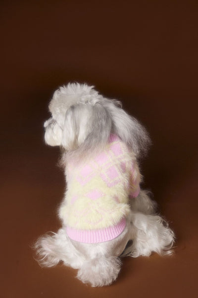 Suéter Cardigan Adorable para Perros Schnauzer y Bichón - Image 10