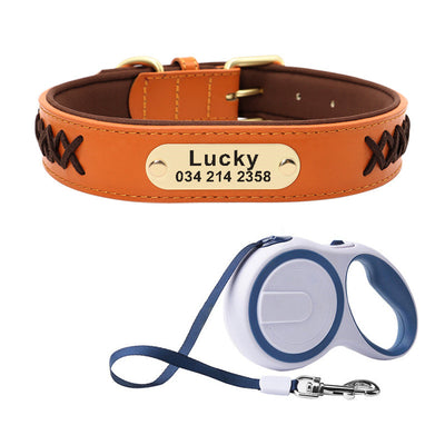 Collar Identificación Perros Medianos y Grandes Antiextravío - Image 10